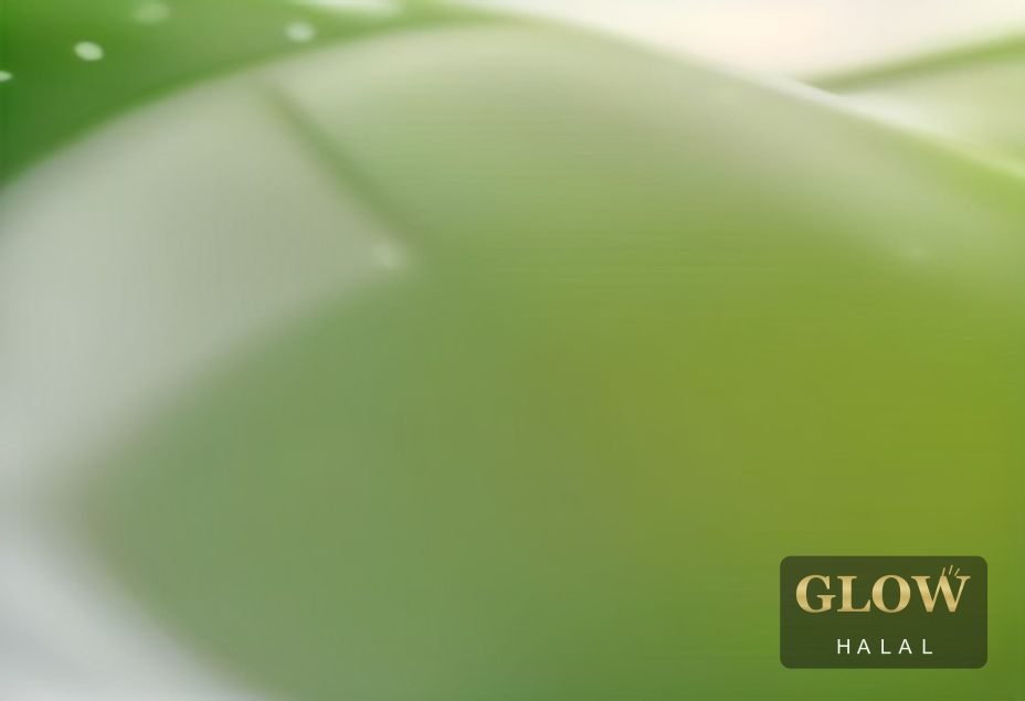 Jalne Kaatne par Lagane Wala Tel: Lookman — Glow Halal